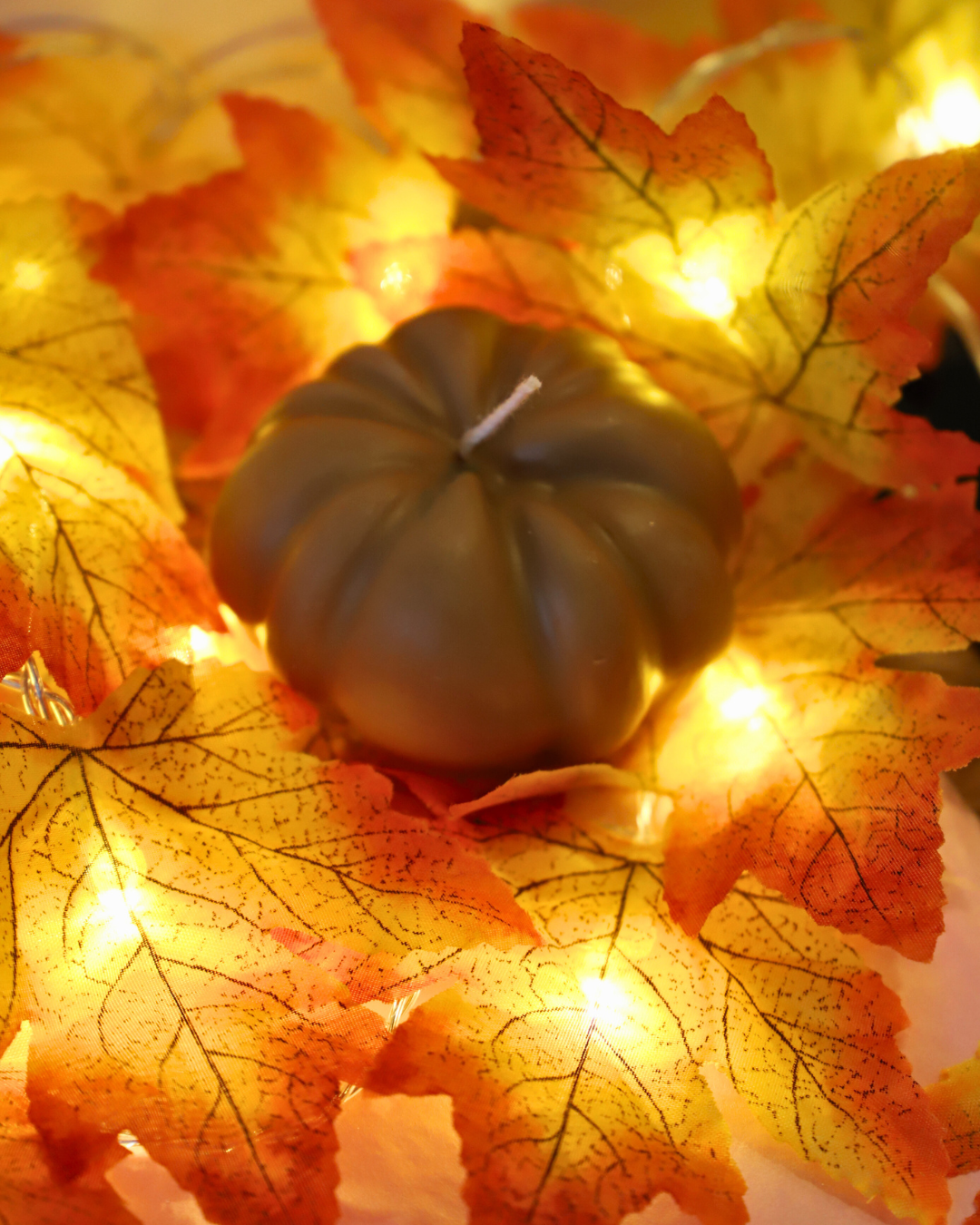 Citrouille colorée