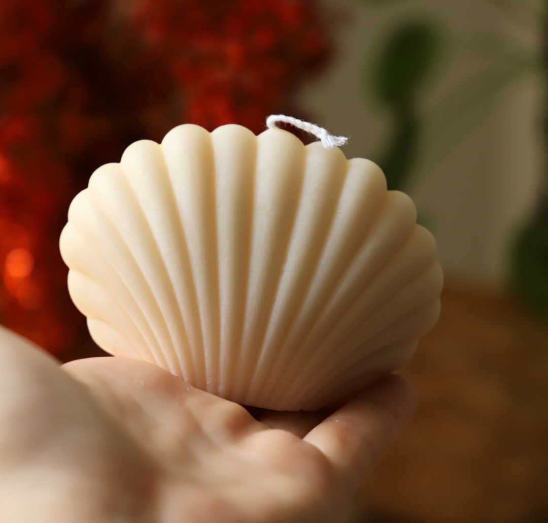 Coquillage - Blanc