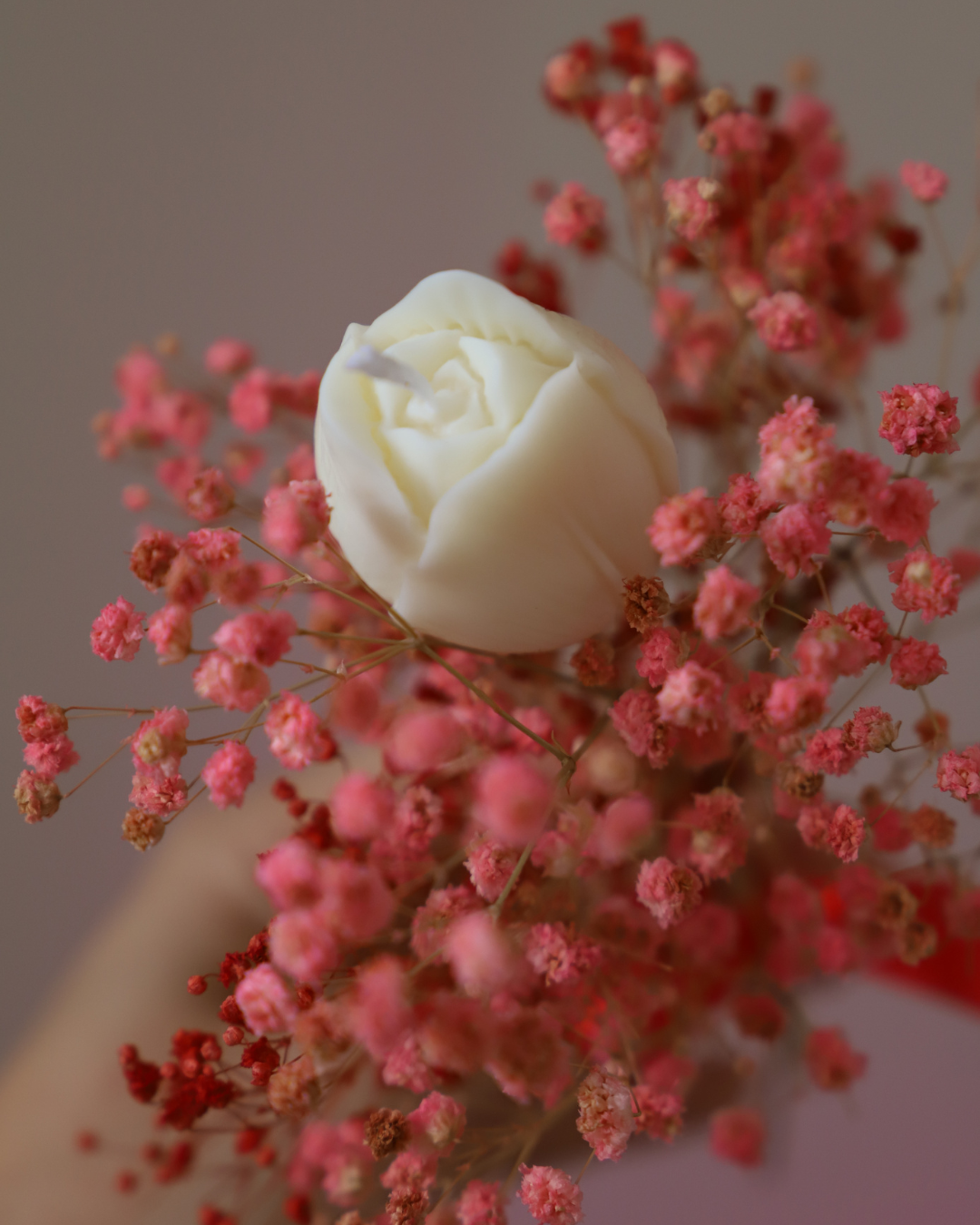 La tige de bougie TULIPE & son gypsophile
