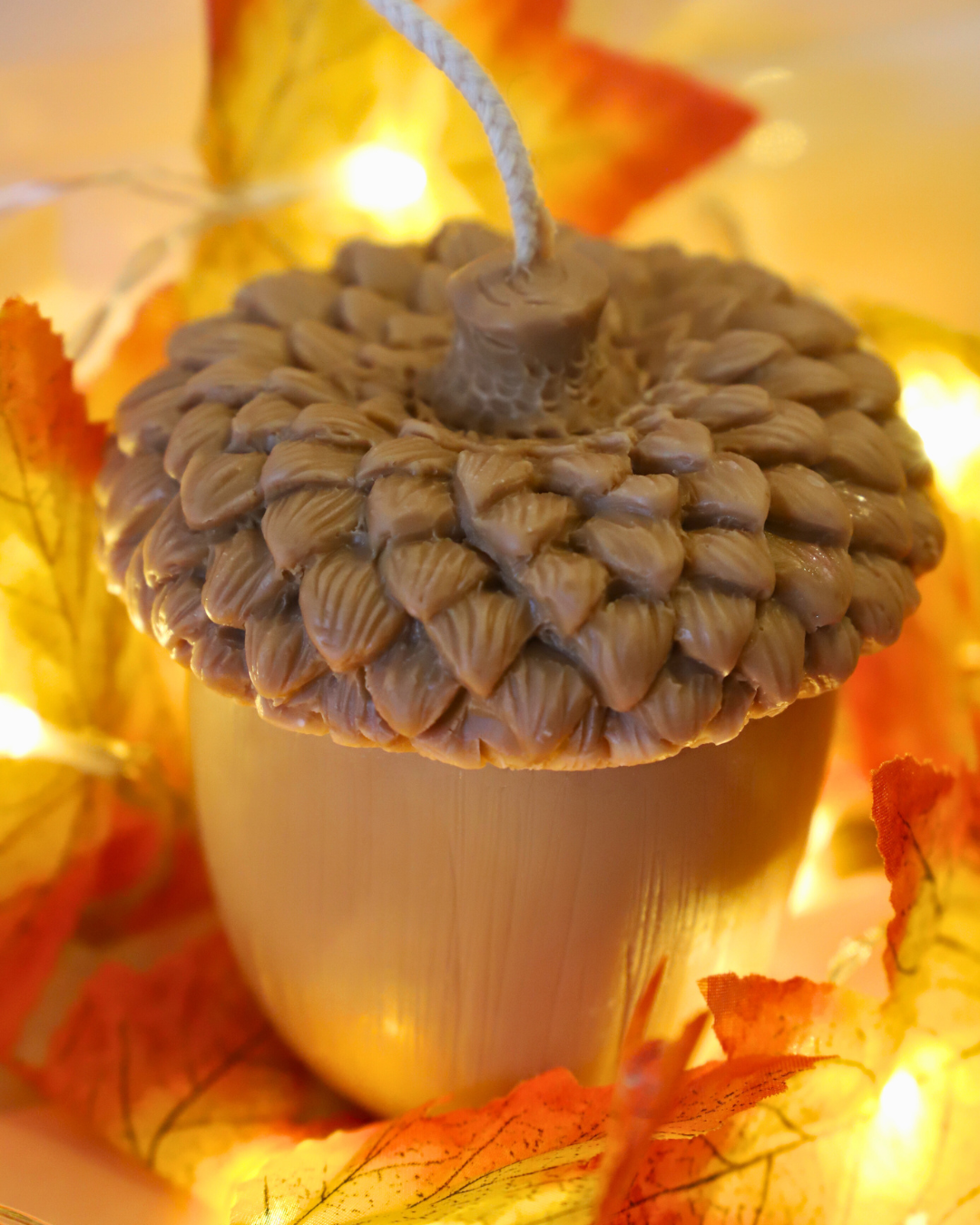 Le gland - bougie en cire de colza