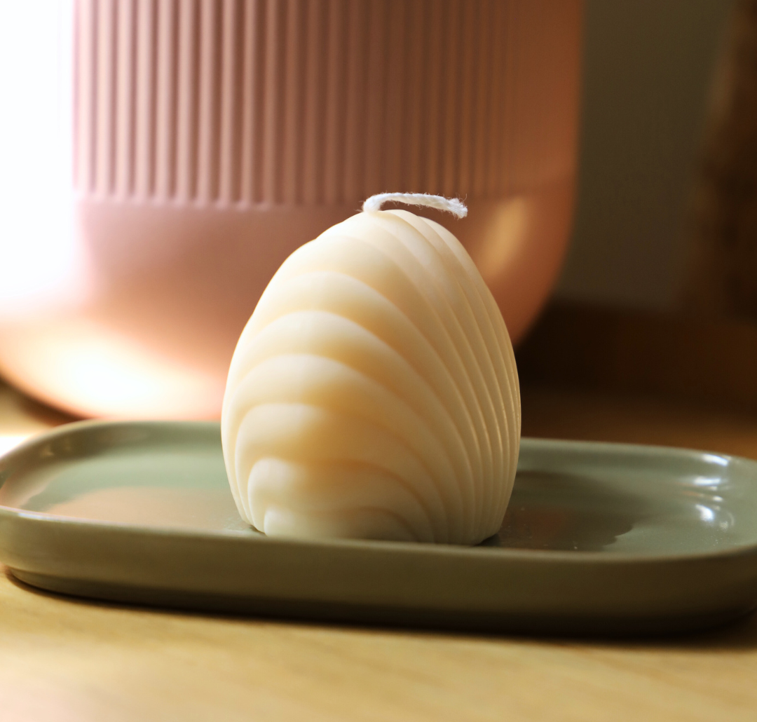 Coquillage - Blanc