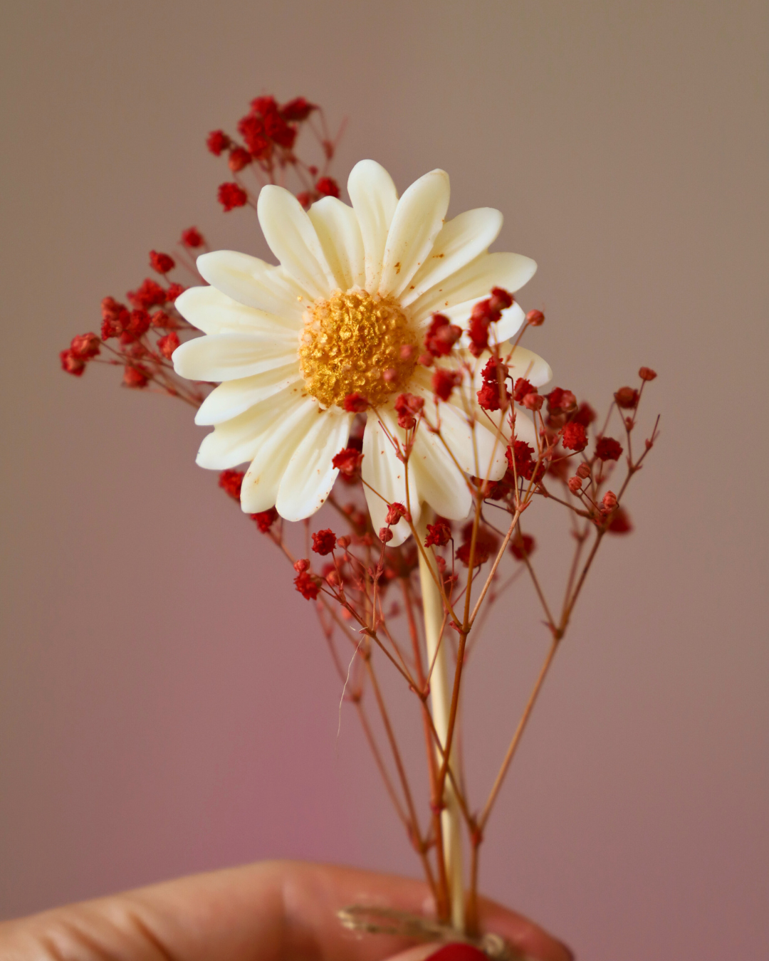 La tige de fondant parfumé PÂQUERETTE & son gypsophile