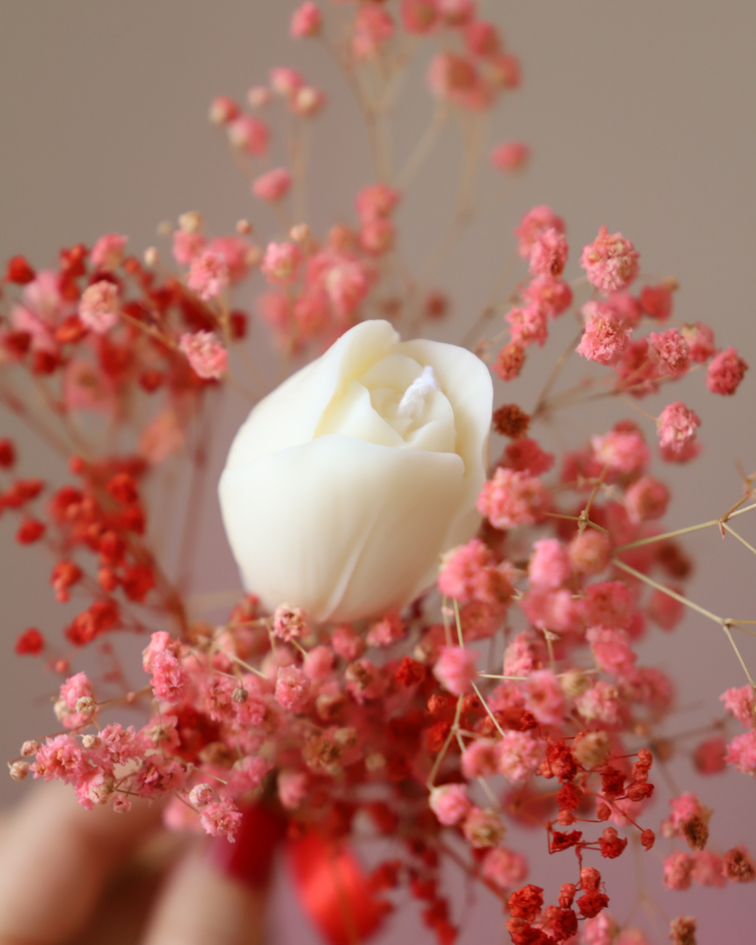 La tige de bougie TULIPE & son gypsophile