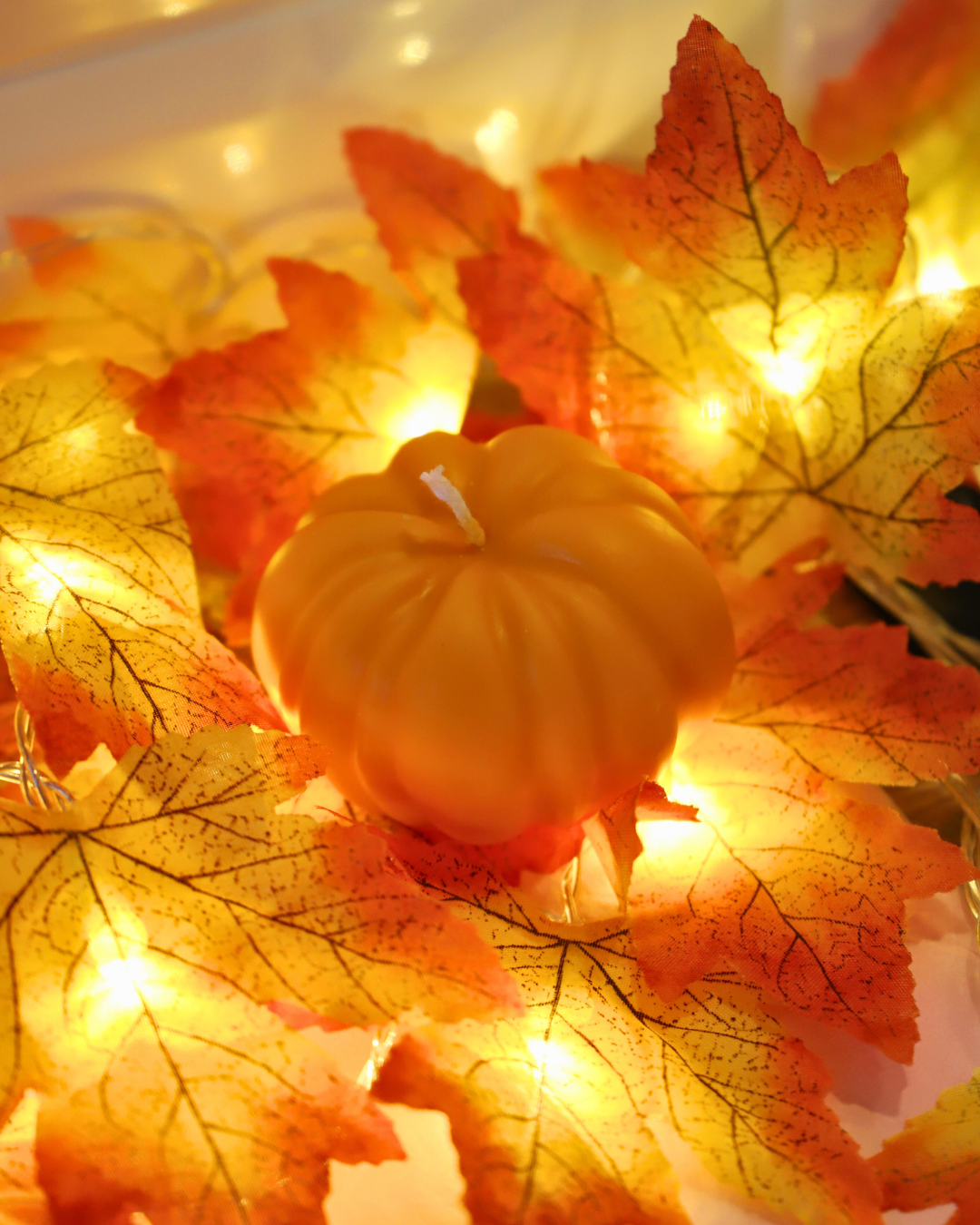 Citrouille colorée