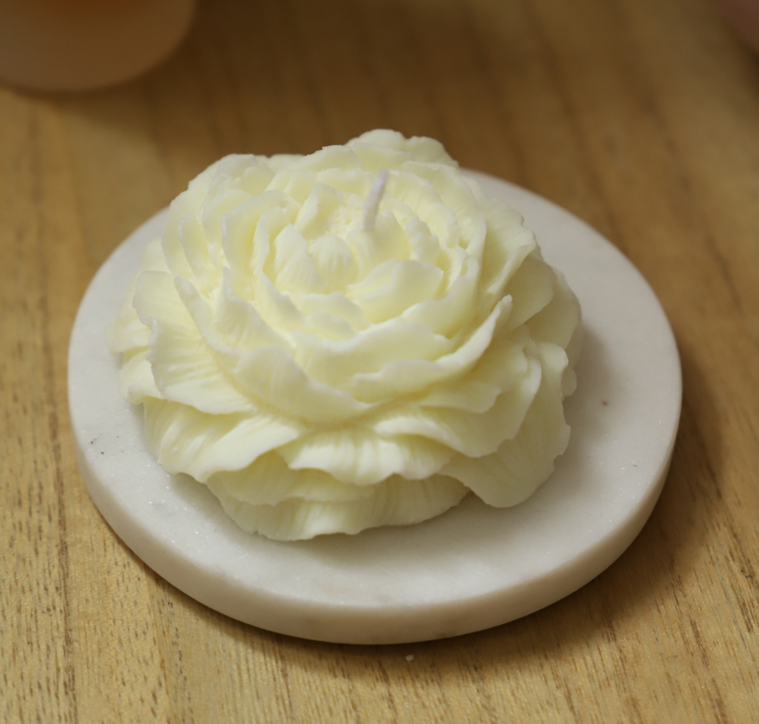 La pivoine blanche