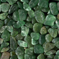 Bougie en pot 200G - BALADE EN FORÊT et pierres naturelles AVENTURINE