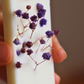 Suspension parfumée et GYPSOPHILE - rectangle moyen