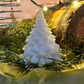 Sapin blanc - petit