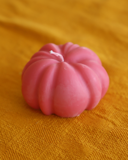 Citrouille colorée