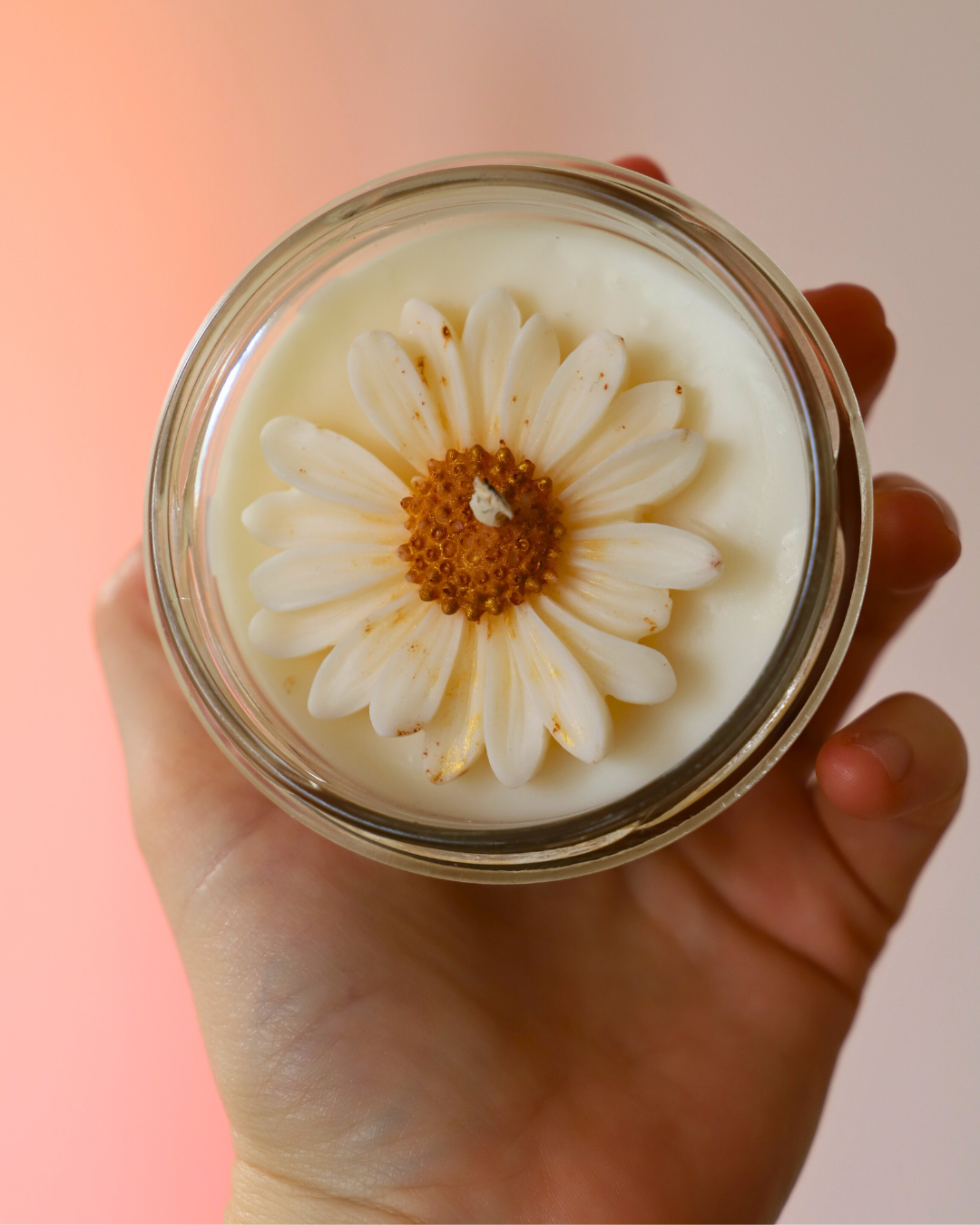 Bougie en pot parfum LE PROPRE et Marguerite - 110g de cire