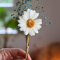 Tige Fleurie – Marguerite en fondant parfumé
