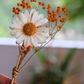 Tige Fleurie – Marguerite en fondant parfumé
