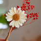 Tige Fleurie – Marguerite en fondant parfumé