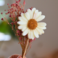 Tige Fleurie – Marguerite en fondant parfumé