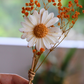 Tige Fleurie – Marguerite en fondant parfumé