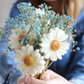 Tige Fleurie – Marguerite en fondant parfumé