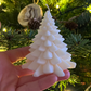 Sapin blanc - petit