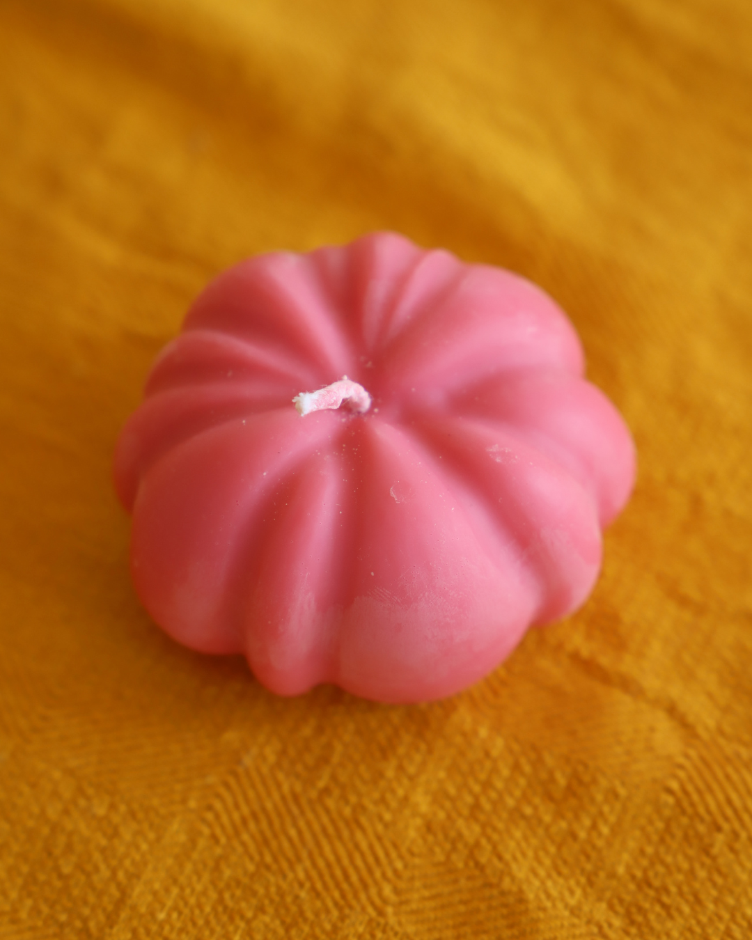 Citrouille colorée
