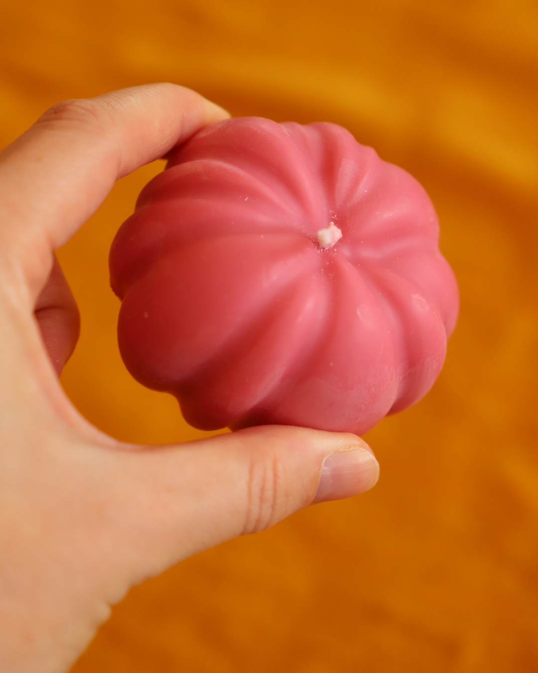 Citrouille colorée