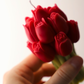 Le bouquet de Tulipes- bougie 100g