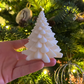 Sapin blanc - petit