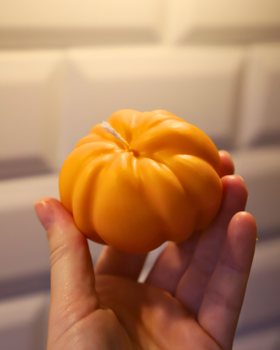 Citrouille colorée