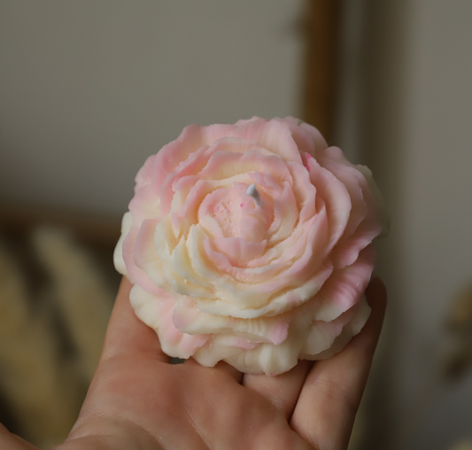 La pivoine rose et blanche parfum monoï - imparfaite