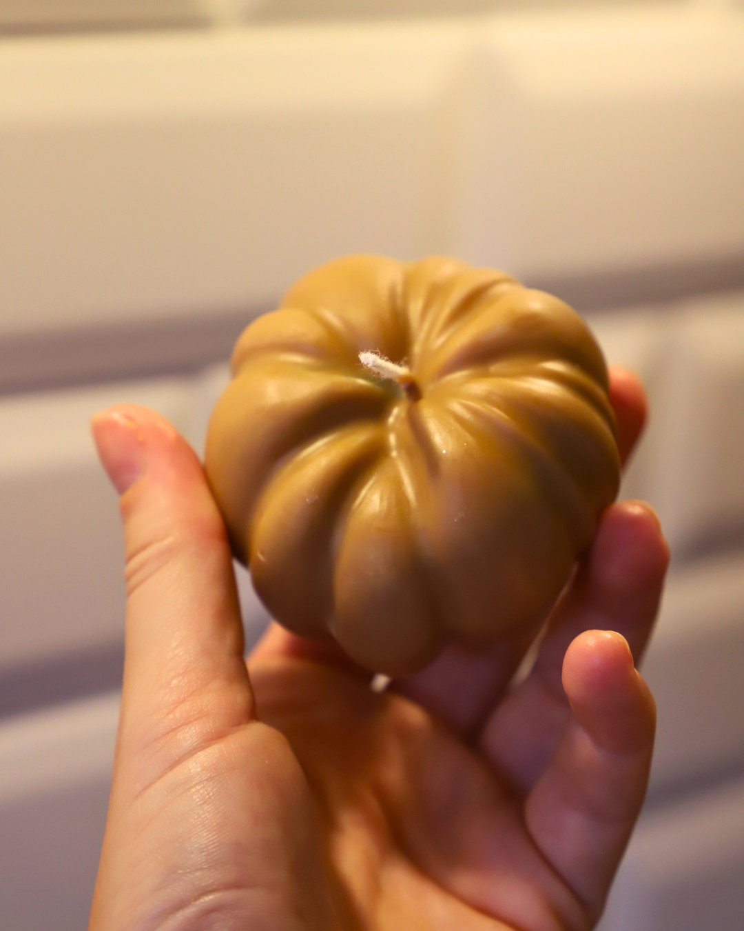 Citrouille colorée
