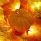 Citrouille colorée