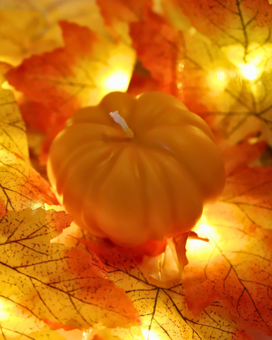 Citrouille colorée