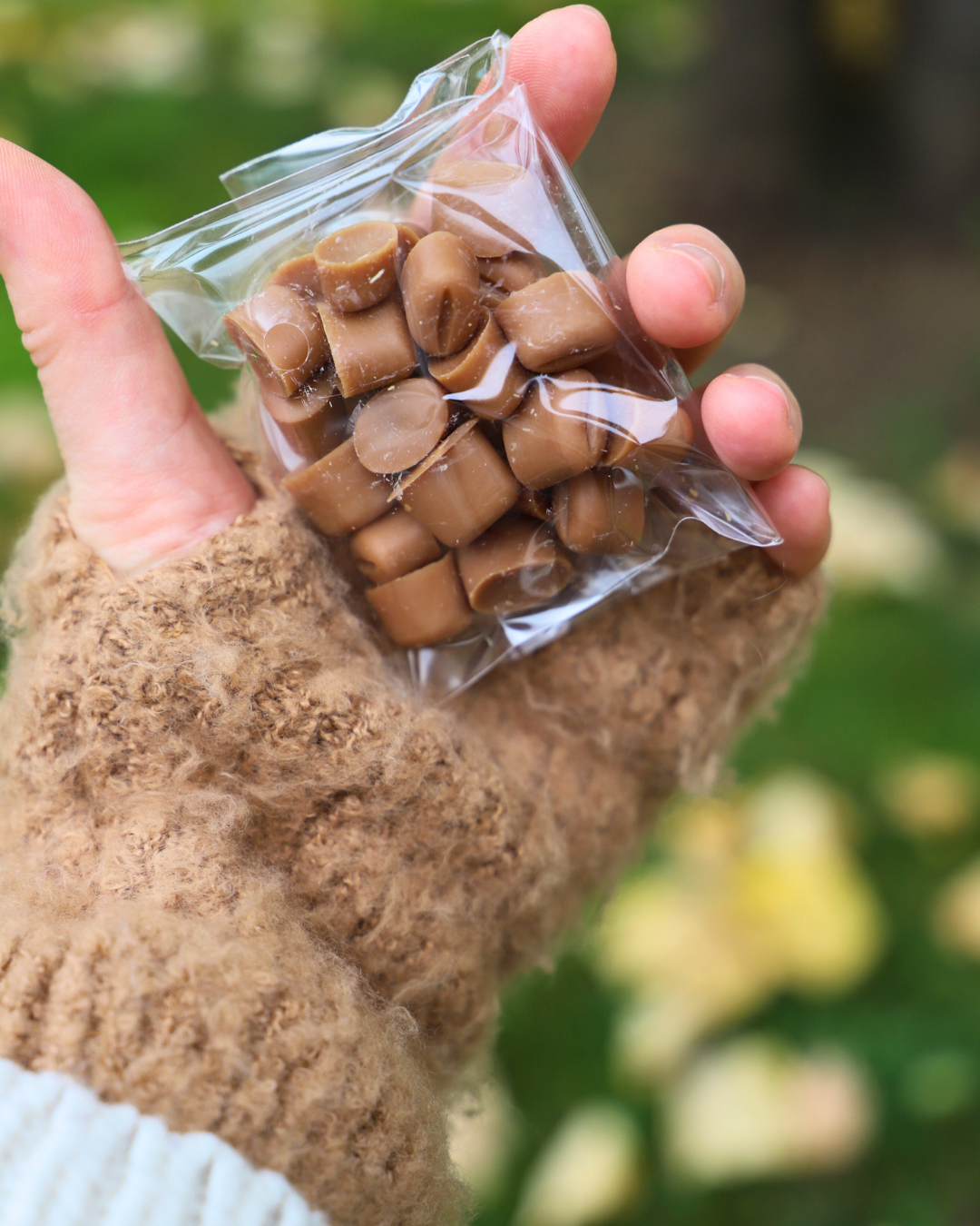 Fondants parfumés COFFEE SHOP