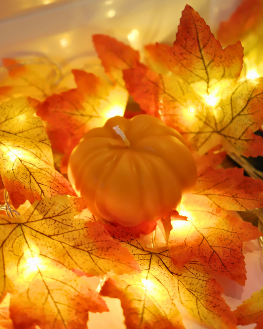 Citrouille colorée