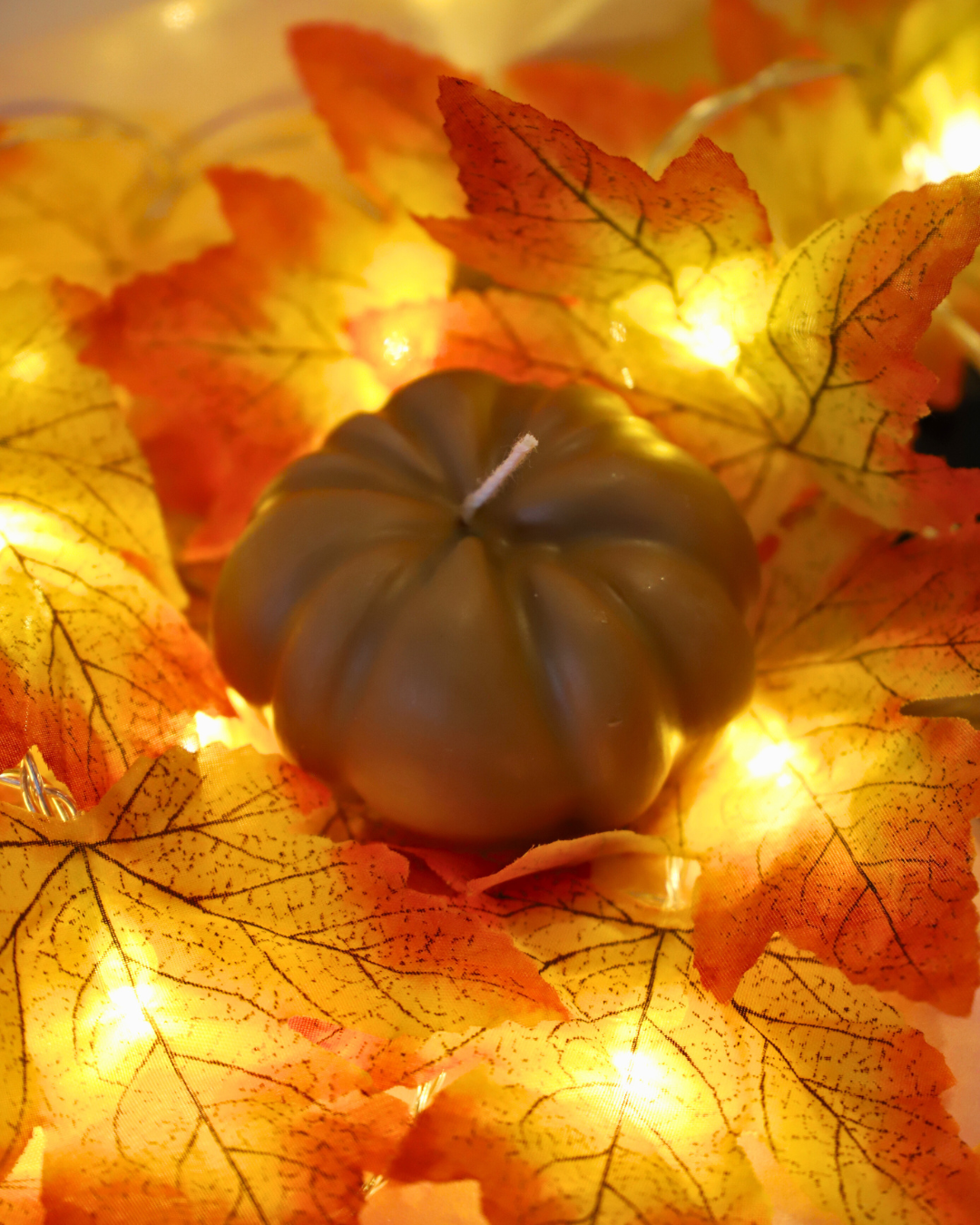 Citrouille colorée